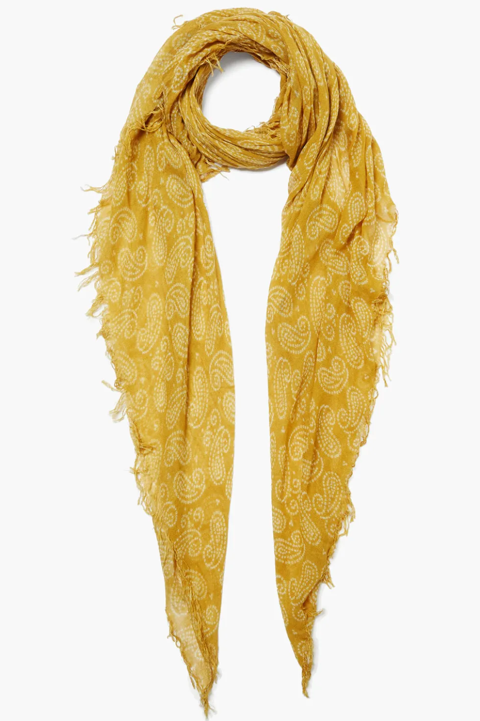 Cashmere and Silk Scarf Narcissus Dotted Paisley