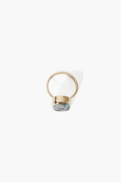 14k Oasis Ring Abalone